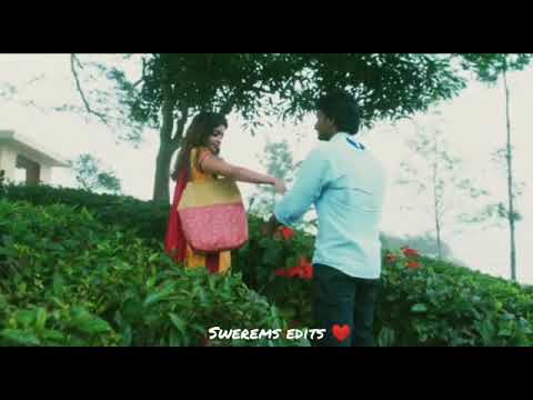 Naan ini kaatril Nadaka pogiren... 💕💕💕💕💕 Whatsapp status