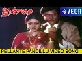 Trisulam Movie Songs Pellante Pandillu Song