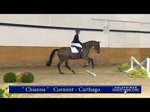 118 | Chianna v. Cormint - Carthago