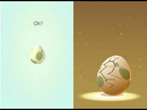 POKÉMON GO - Chocando OVOS de 10 KM e apareceu um pikachu será que peguei? #7