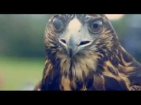 Brahma / Corinthians