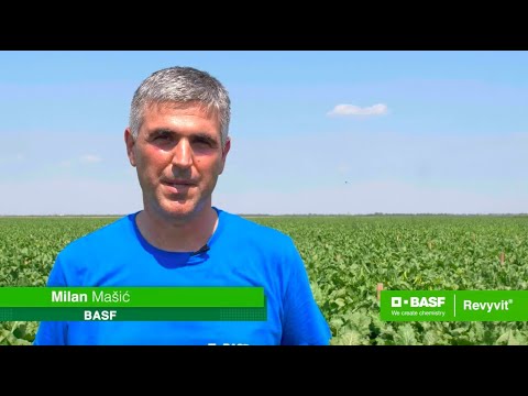 Revyvit® - Efikasno sredstvo u suzbijanju cerkospore