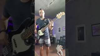 REZA (Jaco Pastorius) by DUVALLE