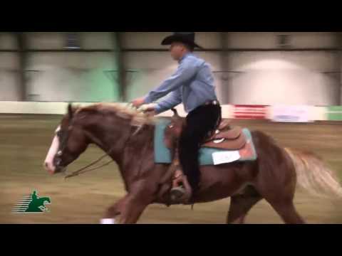 Copy of 12 06 284 Patrick Dube riding Neat Gun in the NRHA 3yr Old Non Pro Futurity 15FAC