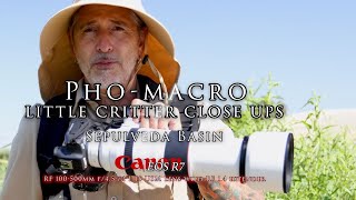 Macro with a long lens? Pho-Macro Canon R7