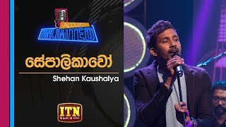 Acoustica Unlimited  Next Voice  Shehan Kaushalya 