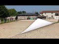 Hongre AES de 9 ans dressage