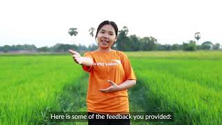 Mid-Term Strategy Review