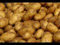 Barleyjuice - Potatoes