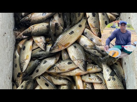 Olha que incrível 😱😱 pescando muito peixes com coco é arroz é fazenda um almoço na ilha 