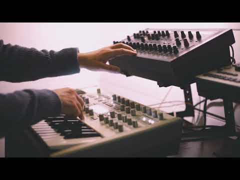 The anchors of sorrow | MIDERA live set [abridged] 3/11/23 at the 311 Club in Minneapolis