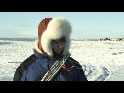 Elle Márjá Eira - GUODOHIT (Guođohit-To herd)
