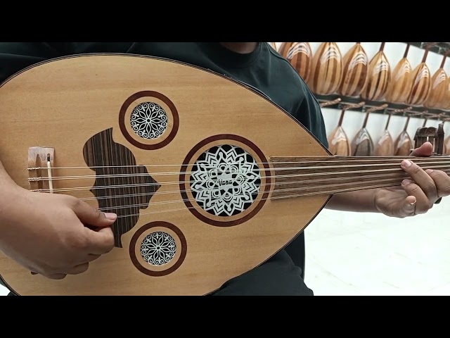 عود كهربائي احترافي والكريزر كوري