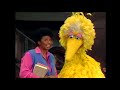 Sesame Street 2066 Street Scenes
