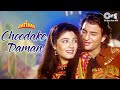 Choodake Daman | Imtihan | Saif Ali Khan, Raveena Tandon | Kumar Sanu, Alka Yagnik | 90s Hindi Hits