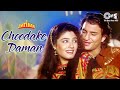 Choodake Daman Imtihan Saif Ali Khan Raveena Tandon Kumar Sanu Alka Yagnik 90s Hindi Hits