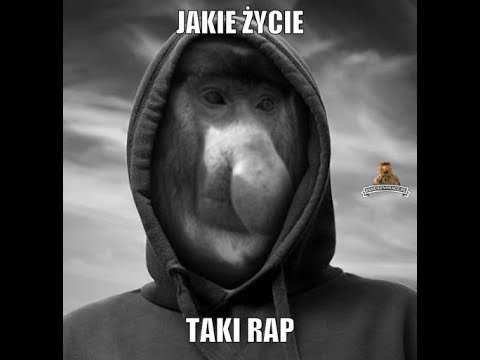 RymoHoliX - O tym co było i o tym co jest teraz 2021