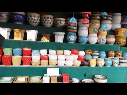 biggest nursery in mumbai Savita rose nursery video