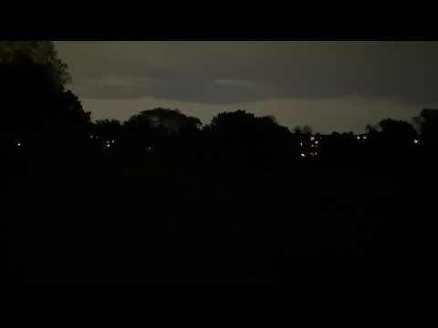 Coyote pack howling, screaming-screeching, yipping, barking sounds at night in Northbrook, Illinois