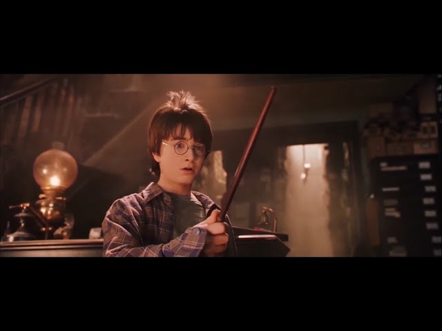 Vídeo relacionado con Harry Potter y la piedra filosofal (Harry Potter 1)