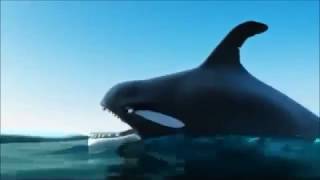 Сила- в единстве