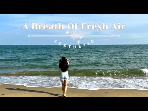 beach vibes // aesthetic video // reminder of how beautiful life is/ #Portsmouth #univlog  #beach