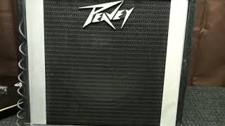 Video thumbnail for PEAVEY Pacer 100-SS Guitar Amplifier "DEMO" by Fuzzy Weenie