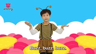 Bug&#39;n Roll   Dance Along   Pinkfong Songs for Children