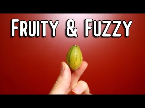 Hardy Tamarillo - This Fruit is RARE but is it GOOD?