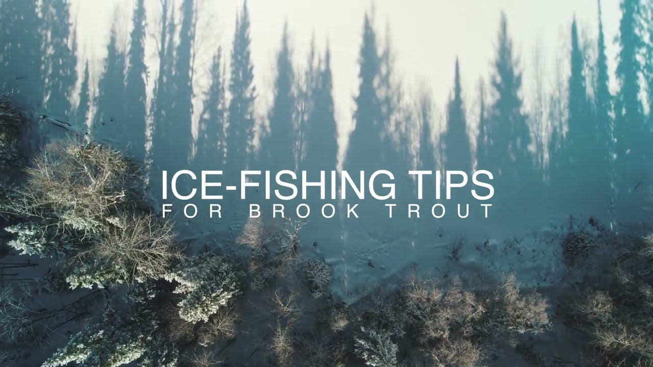 Ice Fishing for Brook Trout