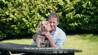 How can Pure Pet Food improve common dog health conditions?