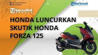 Honda Luncurkan Skutik Honda Forza 125, Punya Desain Premium, Sekali Full Tank Bisa Tempuh 500 Km