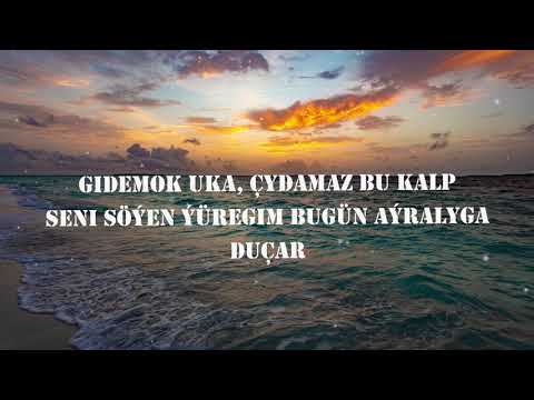 Amalia ft. Timur Orun - Men Yaraly (Sozleri/Lyrics) | LyricsStudio