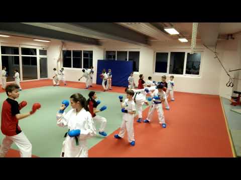 Kinderkaratetraining in Stuttgart Ost (Wagenburggymnasium, mittwochs 17:45-18:45)