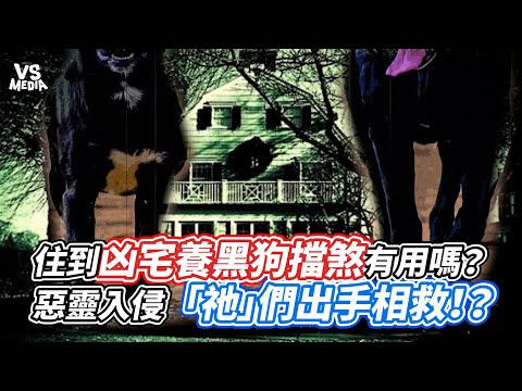 黑狗擋煞