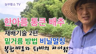 한아름 통큰 배추 무 재배기술 (2편) 배추밭 만들기 -  N.P.K. + 붕소 / 복합비료와 퇴비의 차이점…