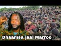 Ammee Jaal Marroo Har A Zoom N