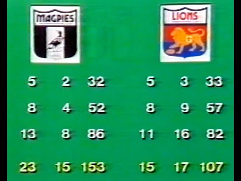 1984 Elimination Final - Collingwood vs Fitzroy. The Winners.