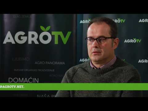 Kasna setva pšenice: Koliki su rizici i kako spasiti rod?