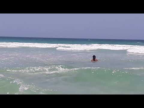 madhav tours and travel pvt Ltd. 9911477622