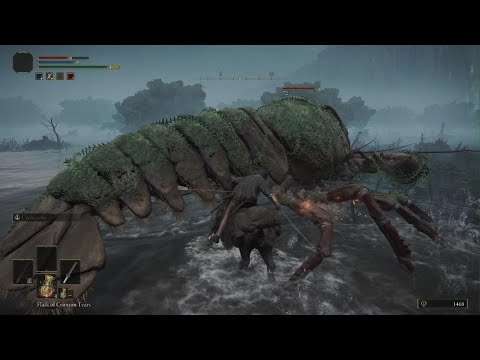 How To Cheese Giant Prawn/Lobster, ELDEN RING