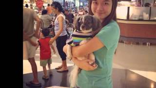 Smile the ambassadors