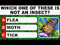Daily Trivia Quiz Round 48 | Test Your General Knowledge!