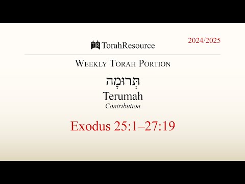 The Weekly Torah Portion | Terumah / Contribution