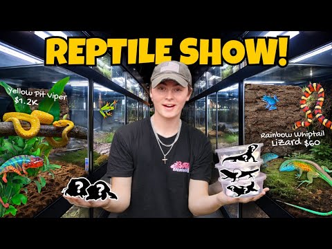 BUYING Reptiles at World's Largest Reptile EXPO!!