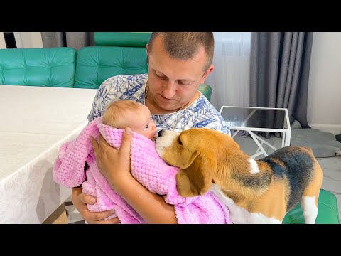 ЩЕНОК ХОЧЕТ ОБЛИЗАТЬ МАЛЕНЬКУЮ СЕСТРУ БРОС ШОУ. НИКА ЛАЙФ