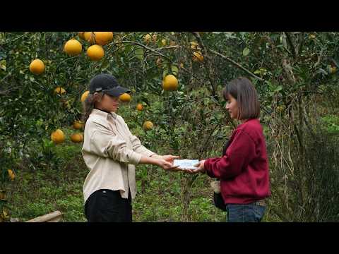 From Nothing to Income — My Small Farm’s First Earnings | Episode 8