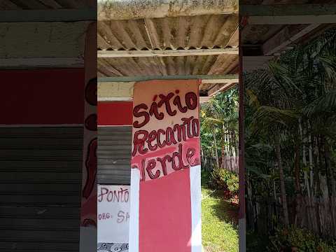 sítio Recanto Verde Santa Maria Tracuateua Pará #belem #amigos #interior