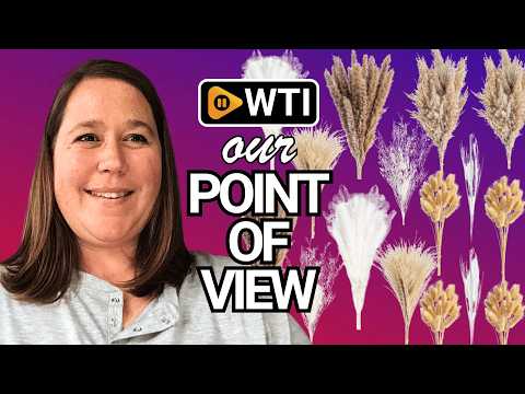 300PCS Natural Dried Pampas Grass Boho Home Decor Bouquet Phragmites Dried Flowers Bouquet for Wedding Floral Arrangements Home Decorations (300PCS) 300 Pcs - WTI product video review