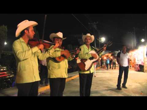 Trío Guardianes de la Huasteca. XX Festival de la Huasteca. 2015